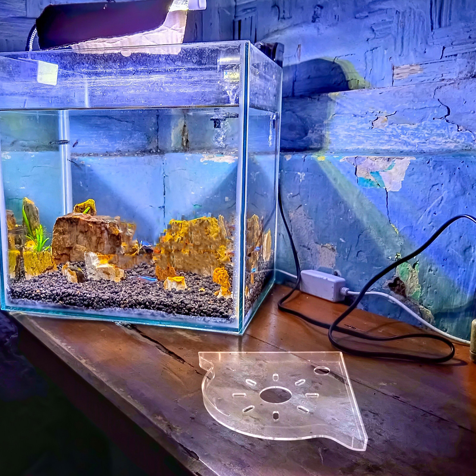 Fish Tank Corner Stand Triangl - Food Storage In Plants บทวิจารณ์และราคา